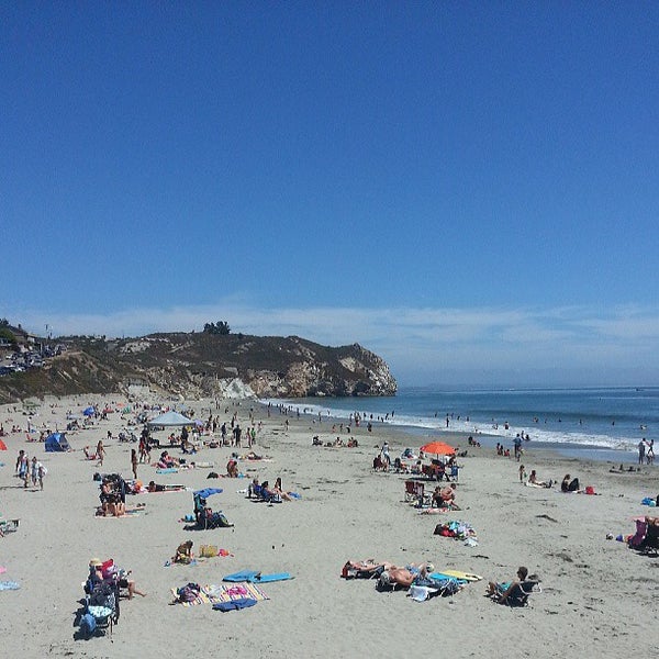 Are Dogs Allowed At Avilia Beach