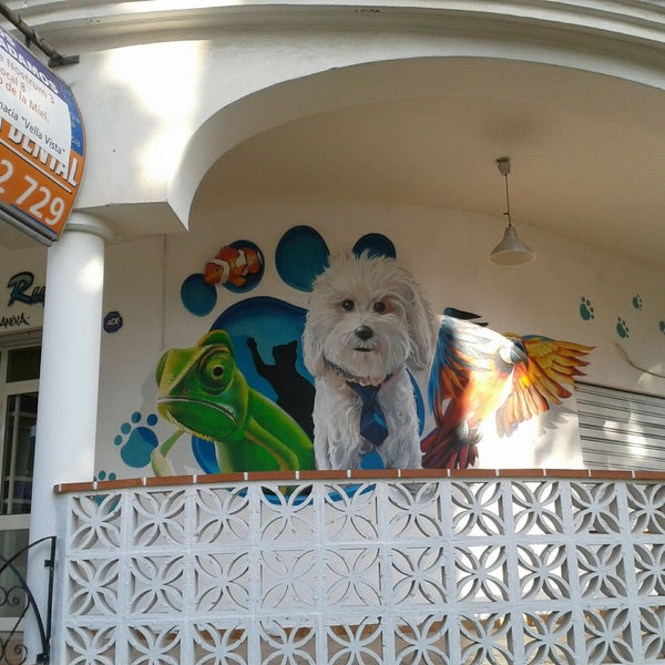 El Rincon De Rufo 1 Tipp