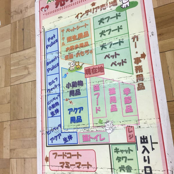 ビバペッツ岩槻店 さいたま市のペットショップ