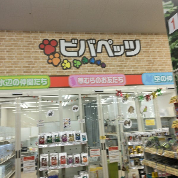 ビバペッツ岩槻店 Pet Store In さいたま市 ビバペッツ岩槻店 Pet Store In さいたま市