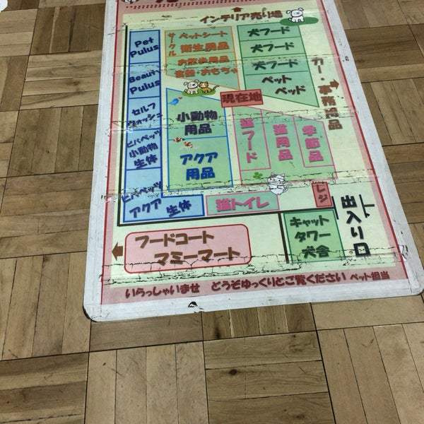 ビバペッツ岩槻店 Pet Store In さいたま市 ビバペッツ岩槻店 Pet Store In さいたま市