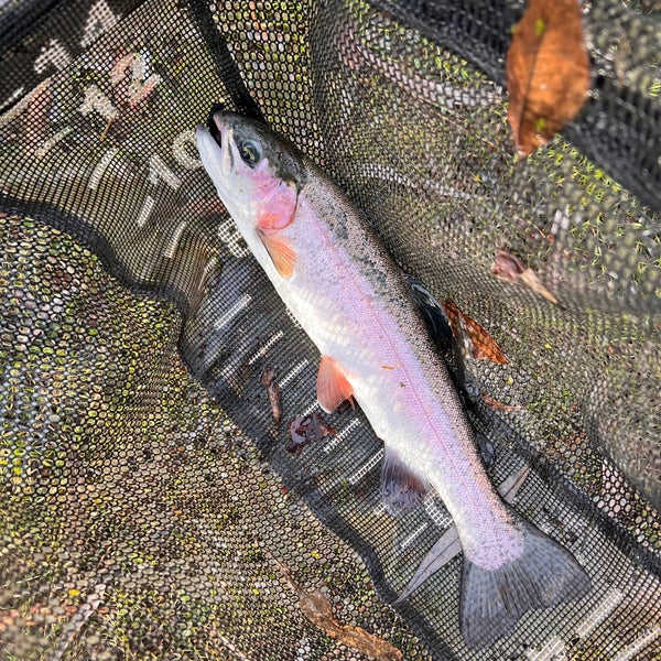 Sunnybrook Trout Club Sandusky, OH
