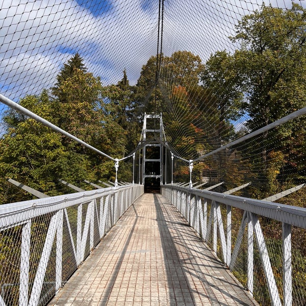 Suspension Bridge Bridge in Ithaca