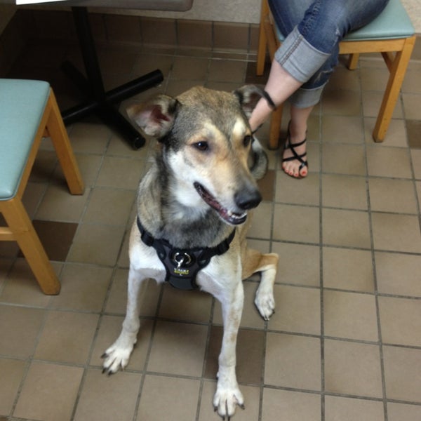 Photos At Red Barn Veterinary Clinic Wyoming Mi