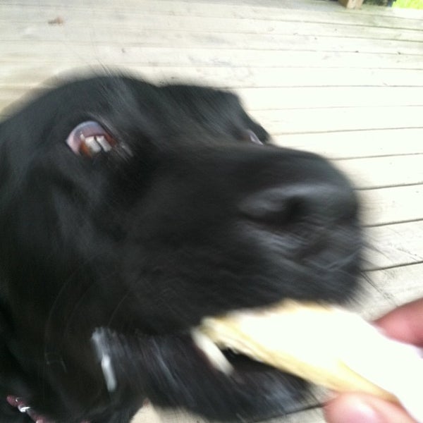 Dad's Ice Cream Dessert Shop in Chittenango