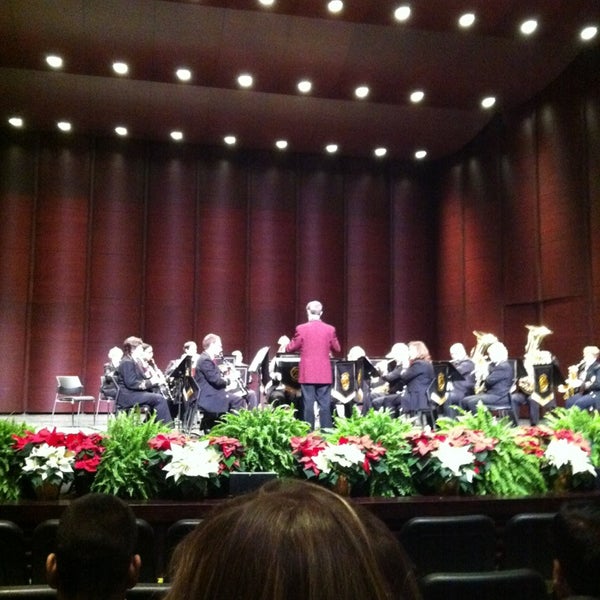 Большой театр роза отзывы