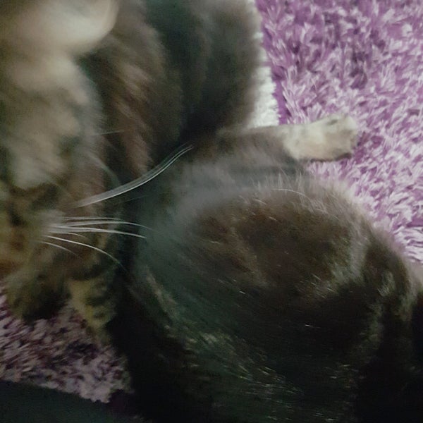 Photos at Permatang Pauh - 10 tips