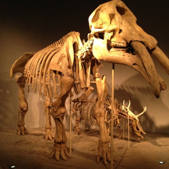 Photo taken at Denver Museum of Nature and Science by Eric G. on 10/14/2012