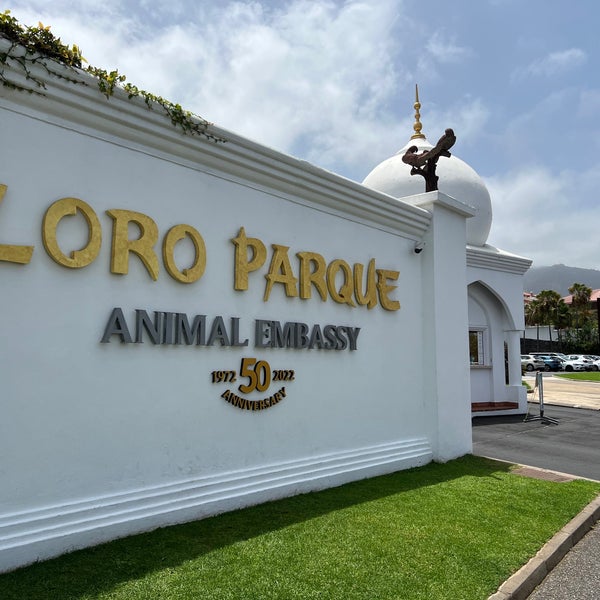 Снимок сделан в Loro Parque пользователем Radezim 8/1/2023