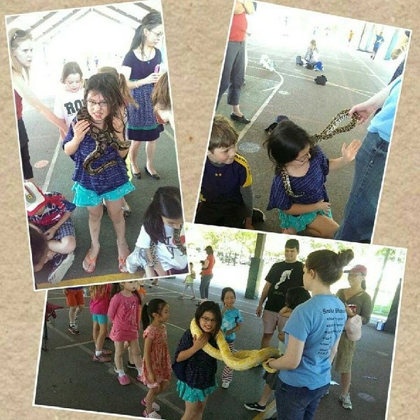 River Oaks Elementary School Elementary School