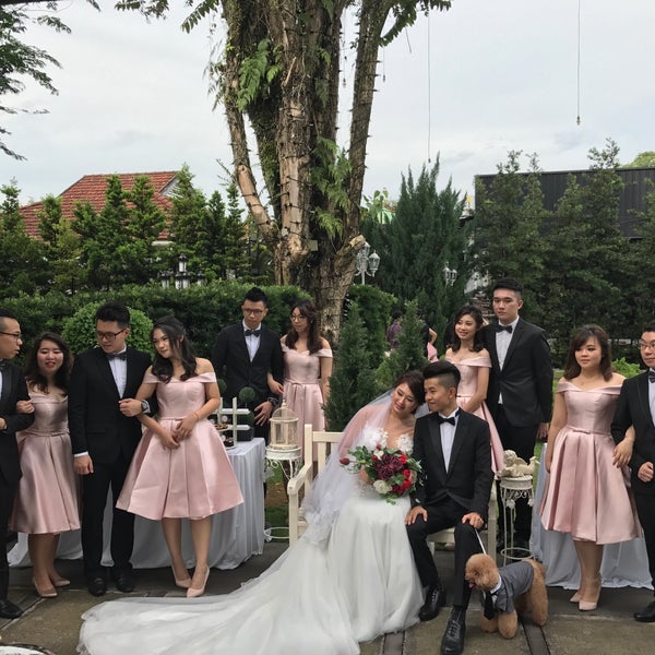 Anovia bridal review cheap