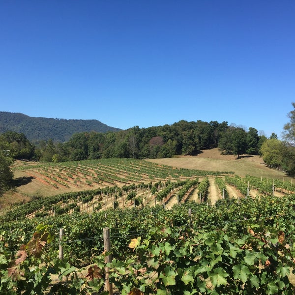 Addison Farms Vineyard Farm