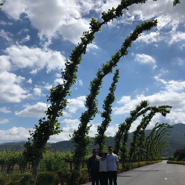 Photo taken at Peju Province Winery by Jeanne A. on 5/25/2019