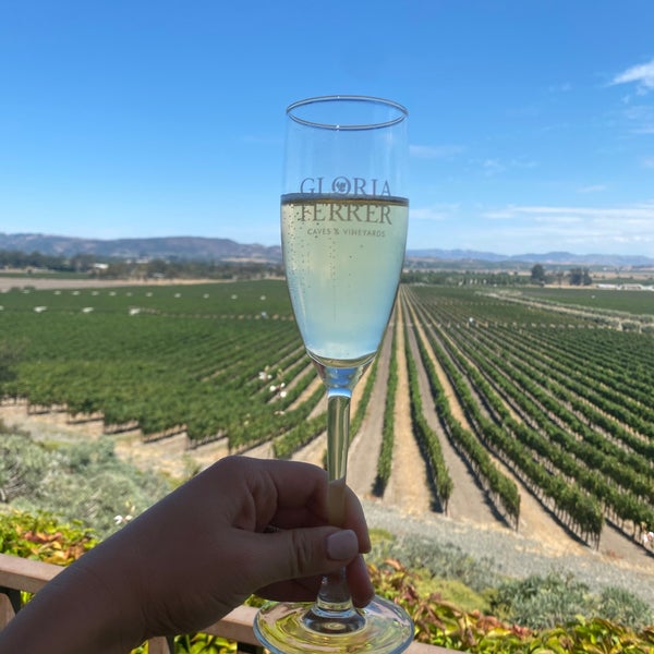 8/15/2020 tarihinde Jeanne A.ziyaretçi tarafından Gloria Ferrer Caves &amp; Vineyards'de çekilen fotoğraf