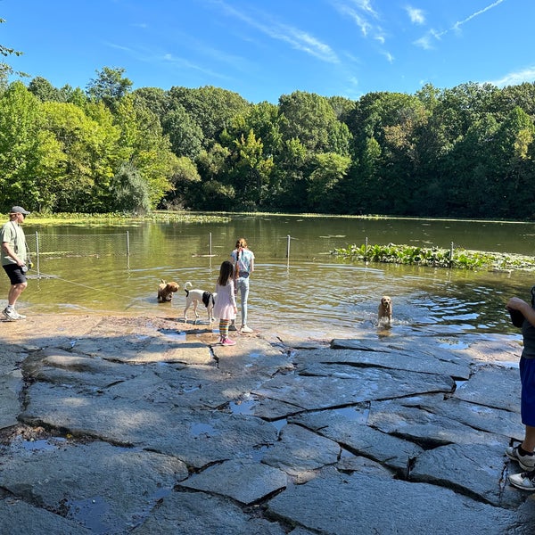 Prospect Park Dog Beach Prospect Park 8 tips from 1181 visitors