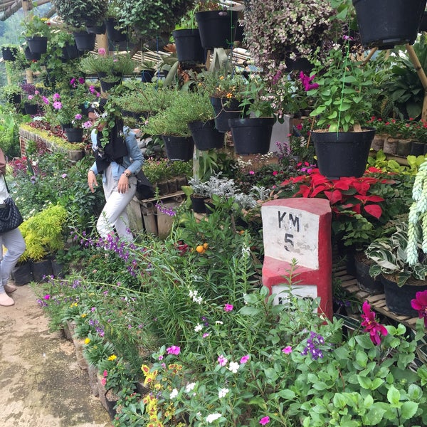 Photos At Kebun Bunga Cihideung Now Closed 2 Tips