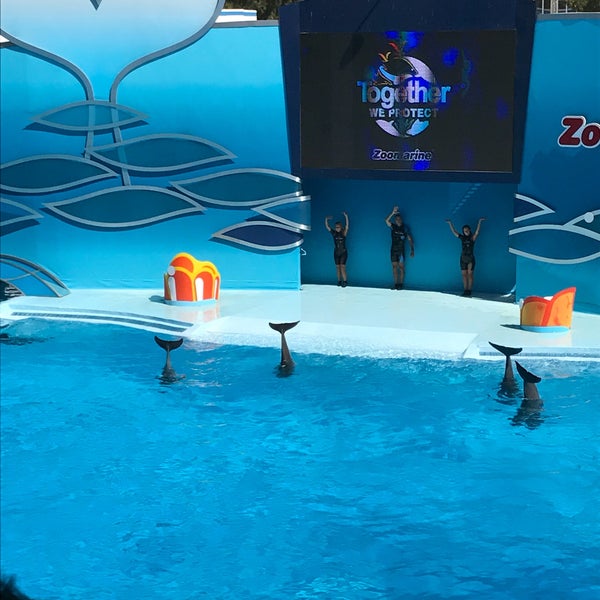 The dolphin show is a must!!!!