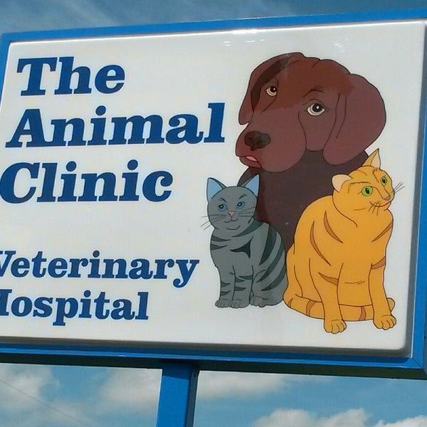 Pet vet 3d мои любимцы. The animal hospital. The animal hospital. The animal hospital. Animal hospital игра.