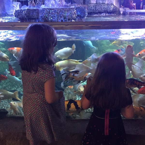 Foto tomada en Austin Aquarium  por Brian T. el 6/21/2017