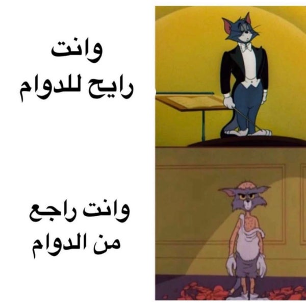 Maersk Line Head Office الفيصلية Cidde, منطقة مكة