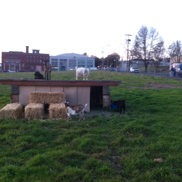 3/31/2013에 Scott M.님이 The Belmont Goats에서 찍은 사진