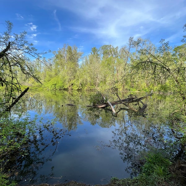 MintoBrown Island City Park Minto Island Rd.