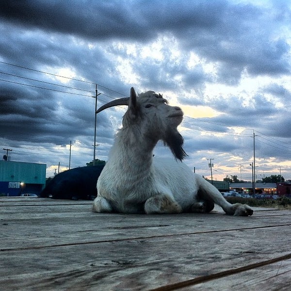 8/17/2013 tarihinde Scott M.ziyaretçi tarafından The Belmont Goats'de çekilen fotoğraf