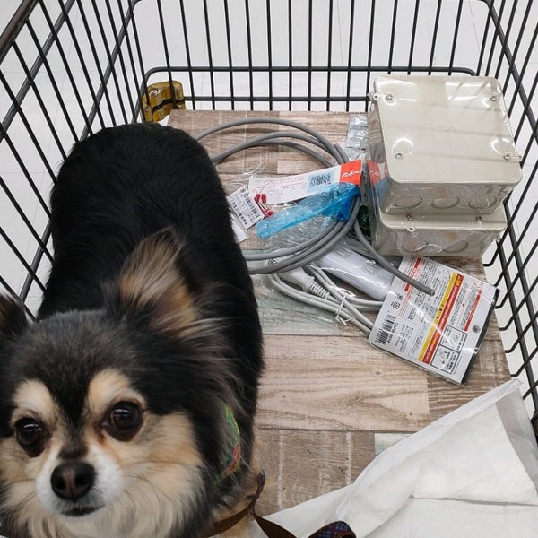 ホームセンター コーナン 橿原香久山店 膳夫町532 1