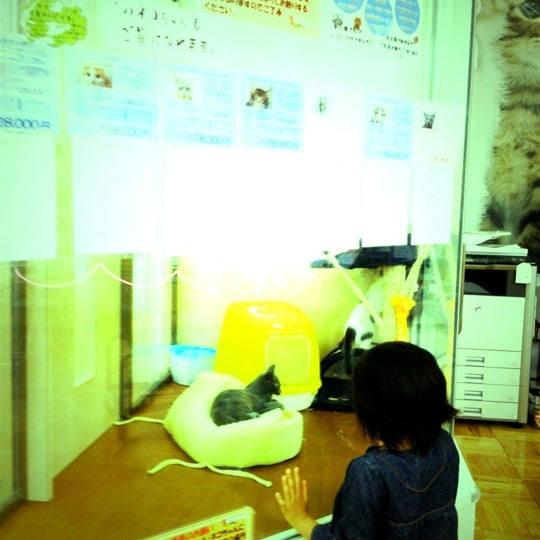 Photos At スーパービバホーム 長久手店 卯塚1 302