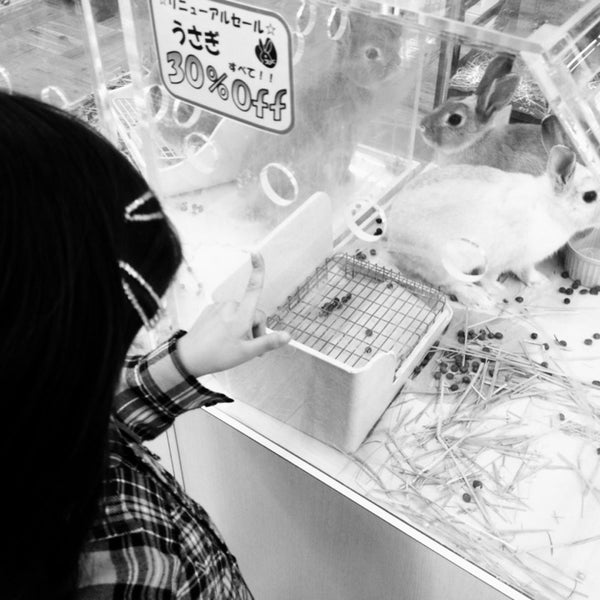 Photos At スーパービバホーム 長久手店 卯塚1 302