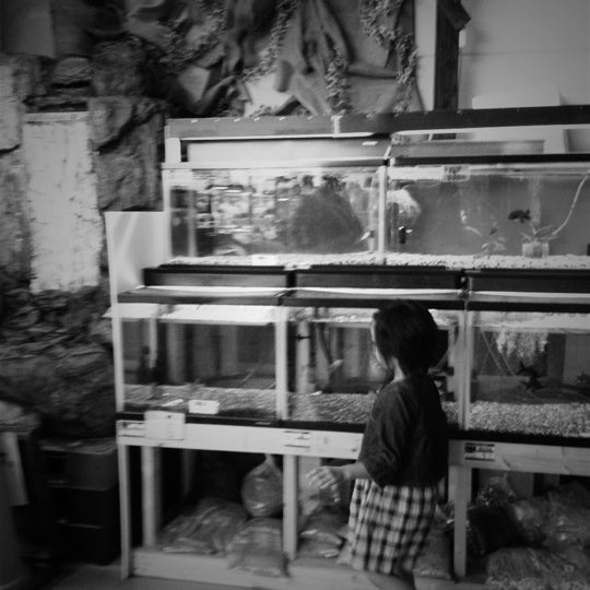 スーパービバホーム 長久手店 卯塚1 302 Da Fotograflar