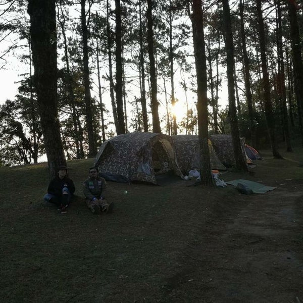 Camping pinewood прохождение