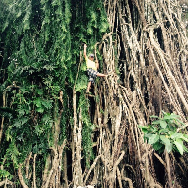Photo taken at Biggest Balete Tree in Asia by Eel m. on 12/27/2014