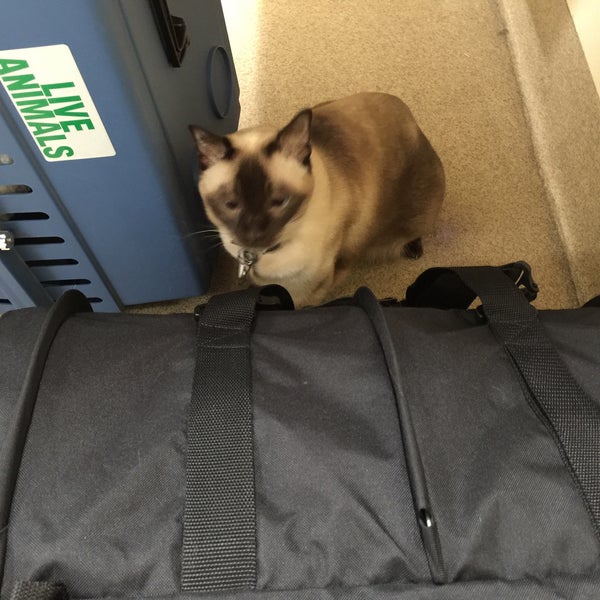 ABC Veterinary Hospital San Marcos, CA