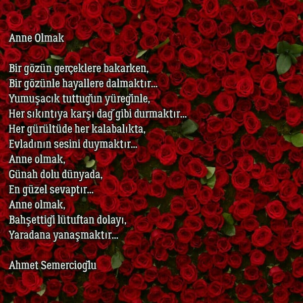 Yasatilan Sozler Anne Olmak