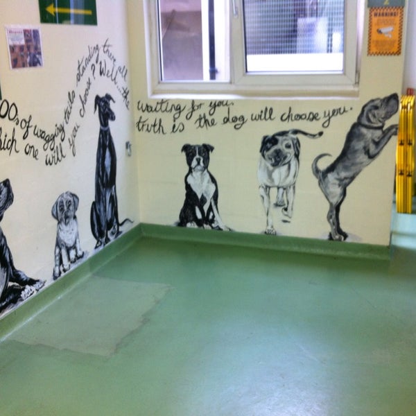 Birmingham Dogs Home Pet Supplies Store in Birmingham