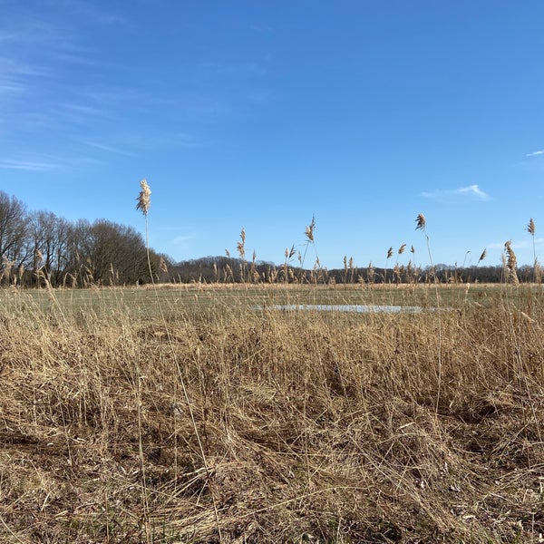 Wye Island NRMA Queenstown, MD