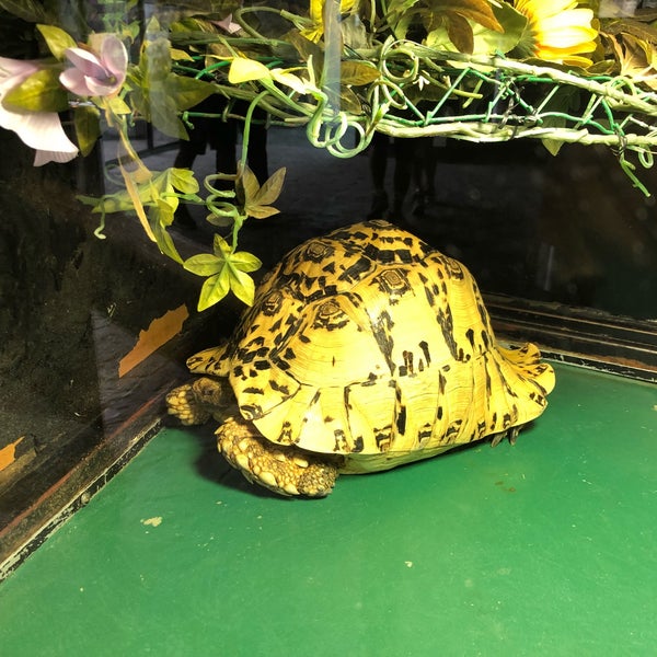 Tuen Mun Park Reptile House 屯門公園爬蟲館 屯门 屯門, 屯門區