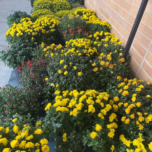 Food Lion Grocery Store Kempsville Virginia Beach, VA