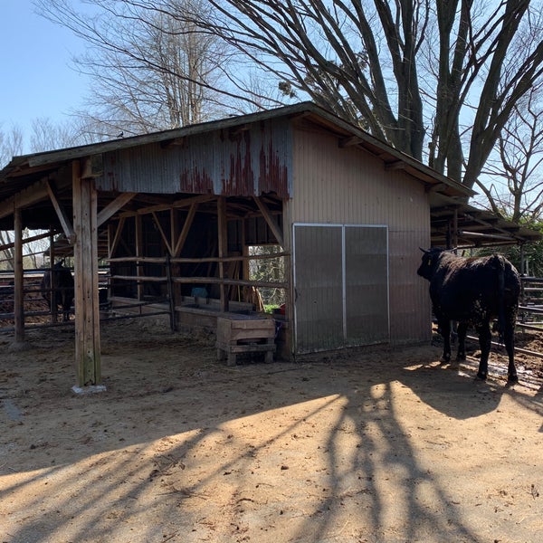 Photos At 萩生田牧場 牛小屋周回 1 Tip