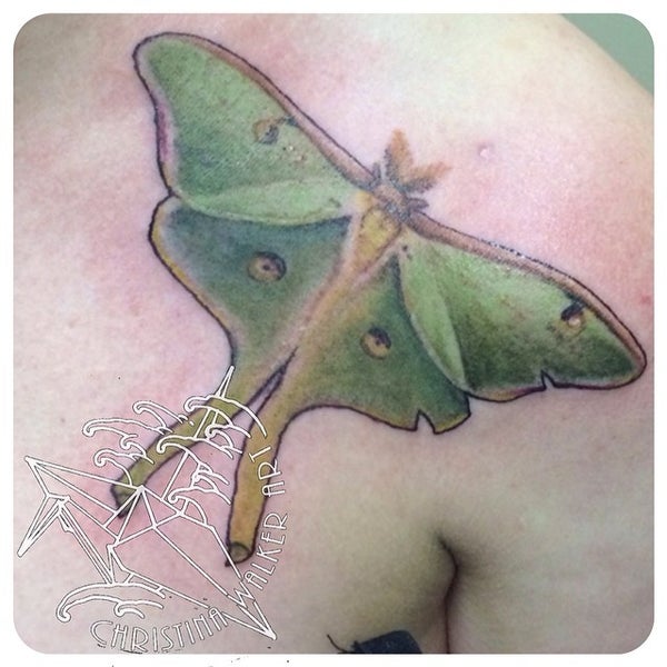Photo taken at Lucky Bamboo Tattoo by Christina W. on 2/15/2014