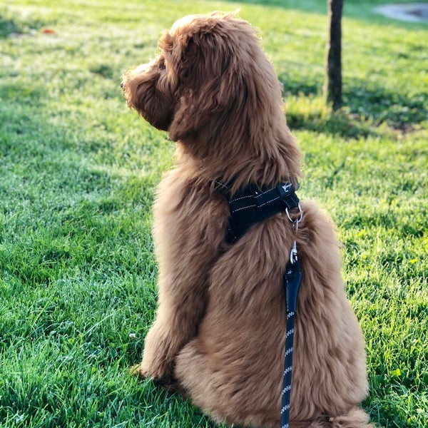Argonne Playground Playground in San Francisco