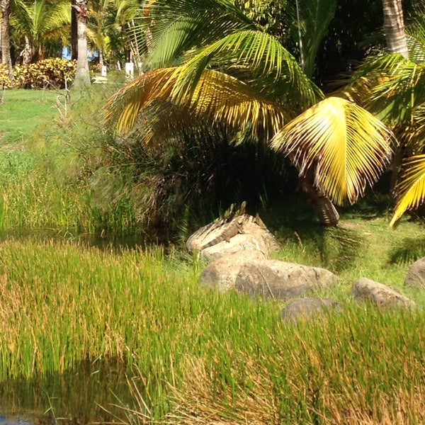 Foto scattata a Gran Meliá Puerto Rico da Nikos 🐺 F. il 10/30/2015