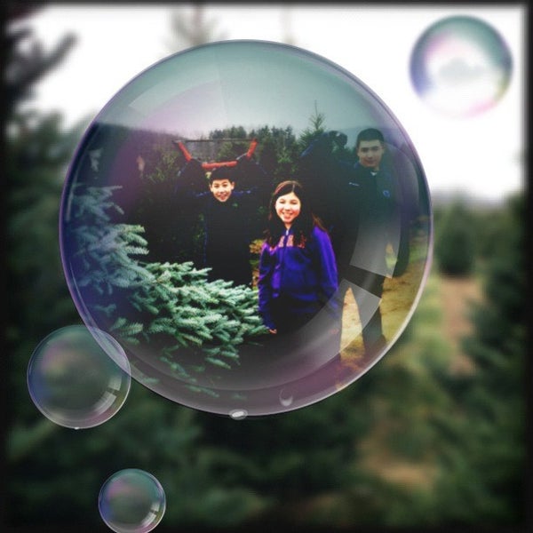 Kuhns Tree Farm Boalsburg Pa