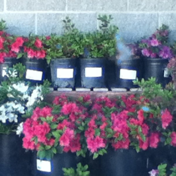 Strands Ace Hardware Inc Hardware Store