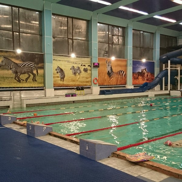 Бассейн 3д макс. 10 д. Бассейн д. Бассейн на тимирязева. Бассейн в д голубое.