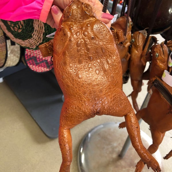 Cane Toad Coin Purse to Match Your Bow Tie! : r/ATBGE