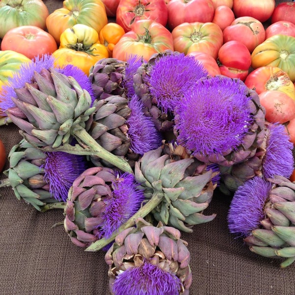 Alameda Farmers' Market West End Alameda, CA