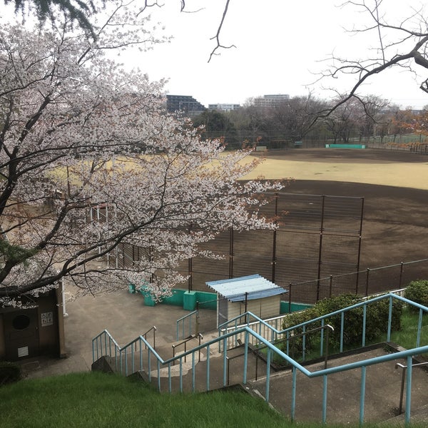 Photos A 保土ヶ谷公園の桜 保土ヶ谷区 34 Visiteurs Photos A 保土ヶ谷公園の桜 保土ヶ谷区 34 Visiteurs