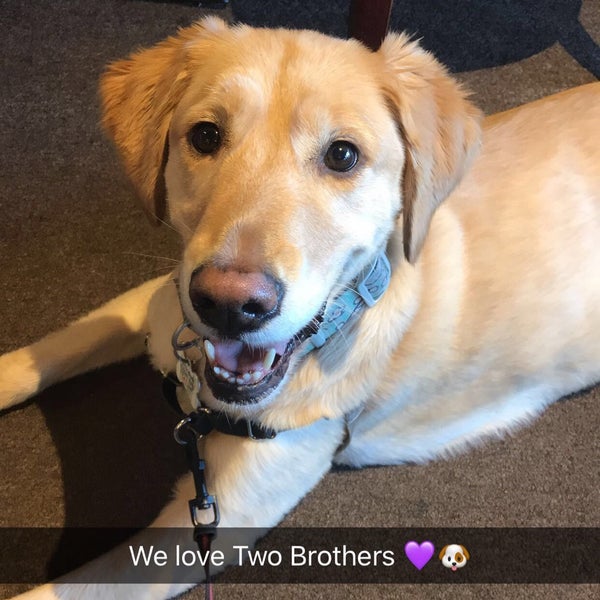 Two Brothers Coffee Coffee Shop in Brighton